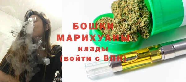 СК Елизово