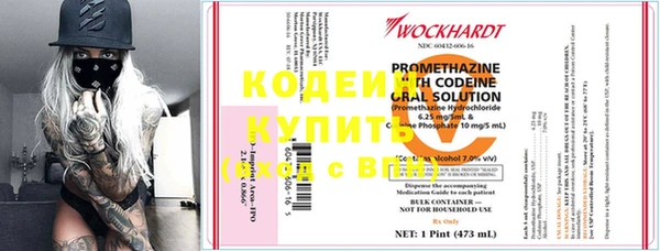 СК Елизово