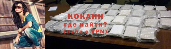 СК Елизово