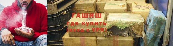 СК Елизово