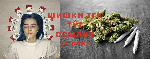 СК Елизово